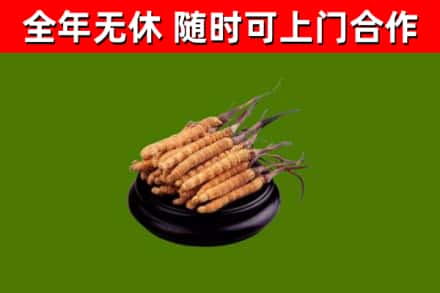 印江县烟酒回收冬虫夏草.jpg